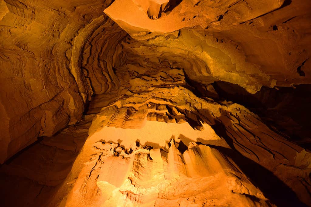 Parco Nazionale della Grotta del Mammut