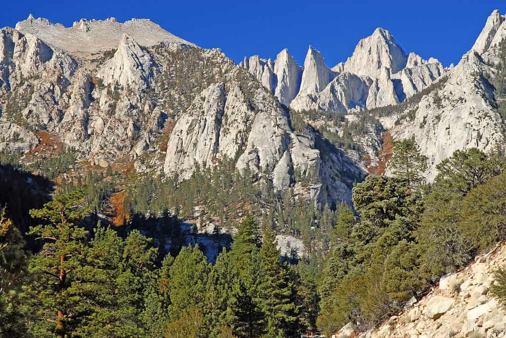 Monte Whitney, Monte Whitney