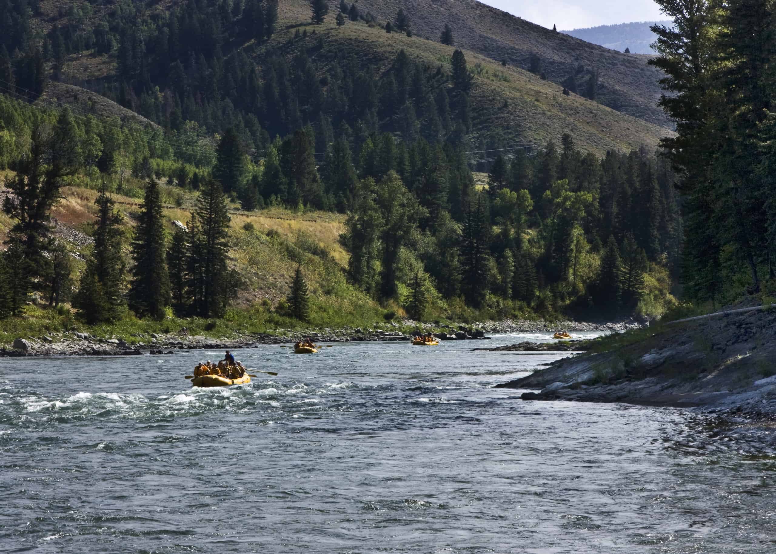 Il fiume Snake nel Wyoming