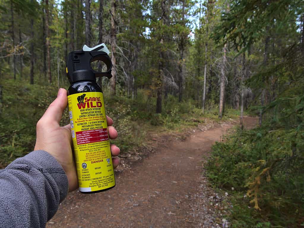 Spray per orsi