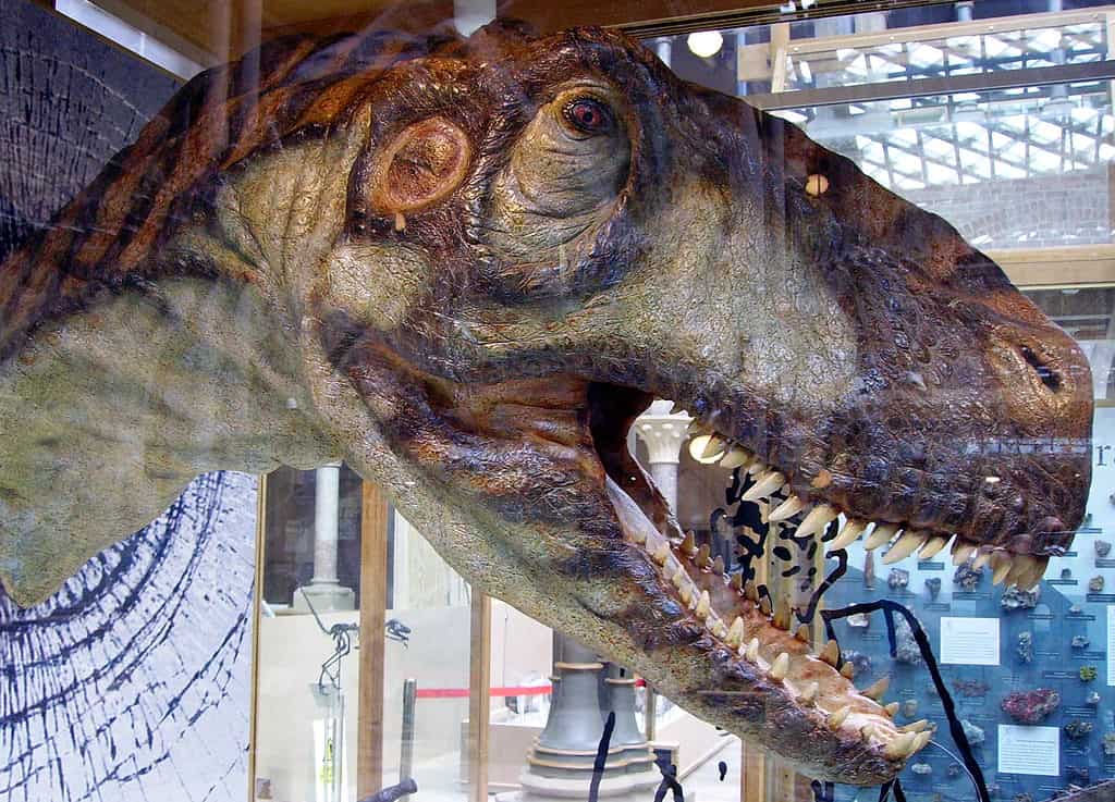 Eustreptospondilo