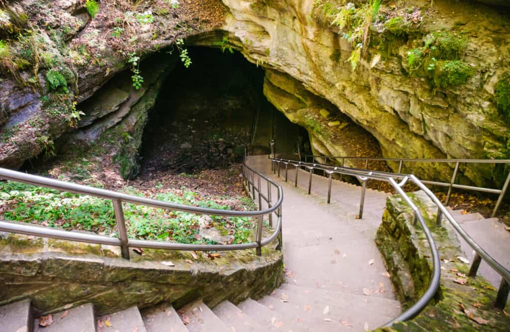 pozzo senza fondo della grotta dei mammut