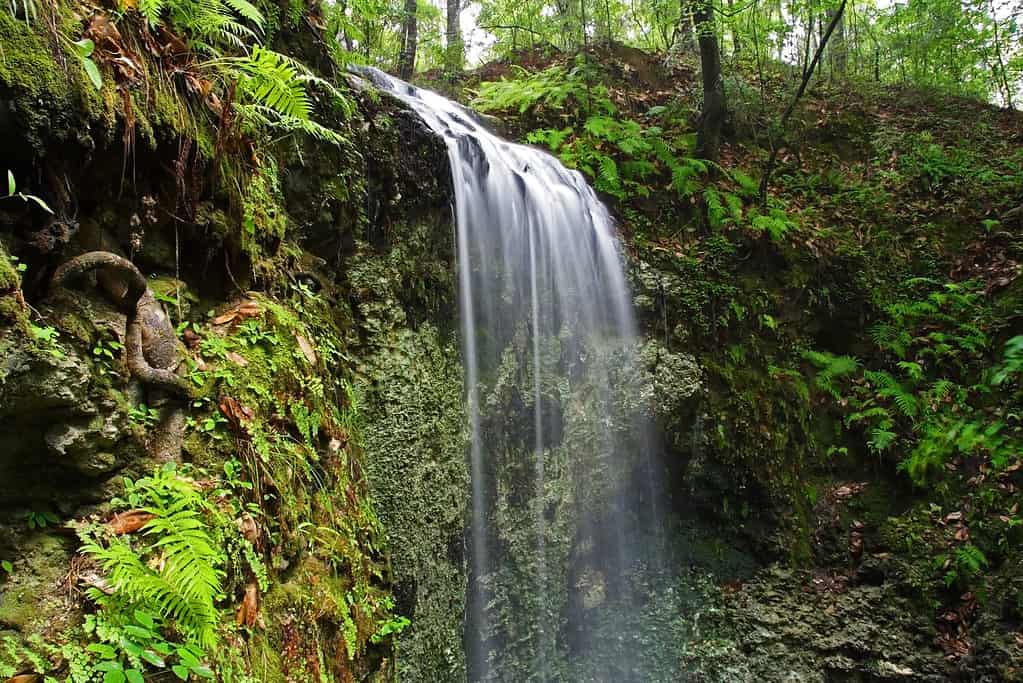 Cascate delle acque cadenti, Florida
