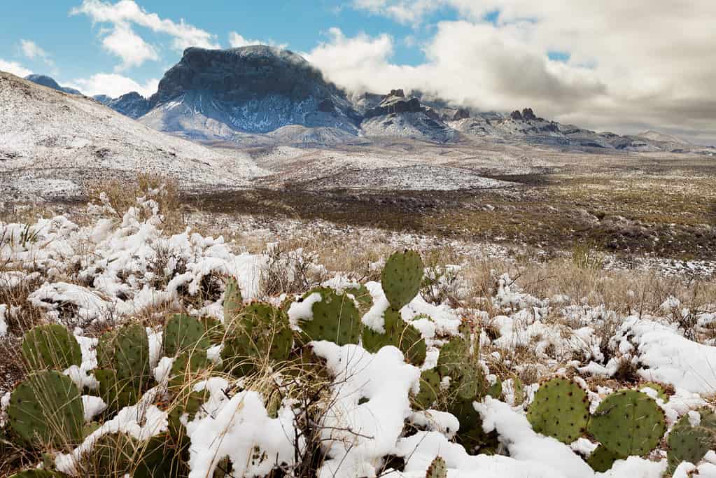 Inverno texano