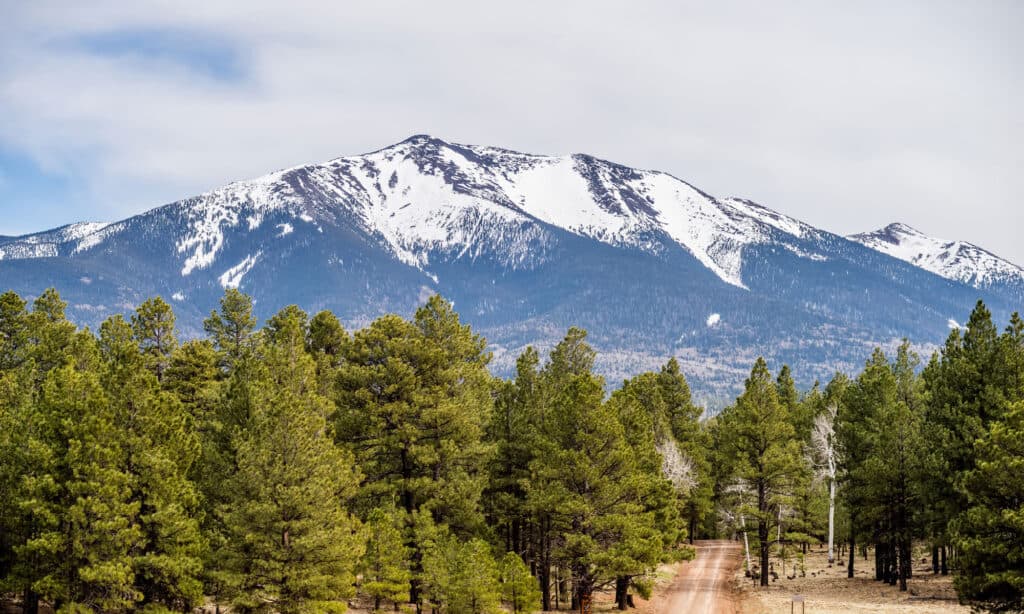 Arizona, Nord