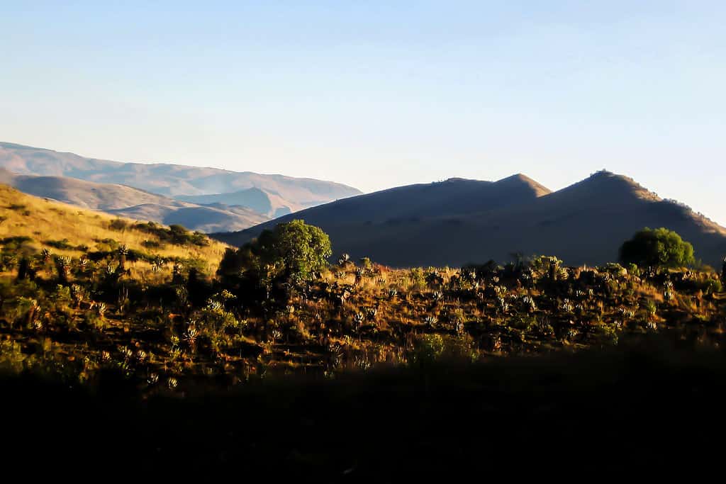 Monti Barberton Makhonjwa