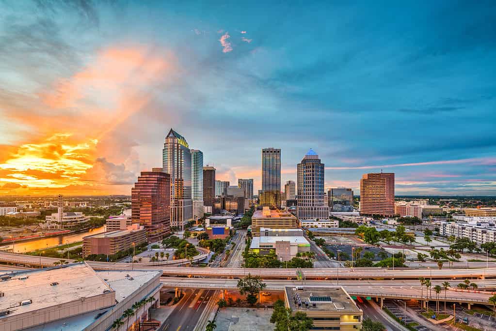 Tampa, Florida - Stato USA, Skyline urbano, Università, Sud