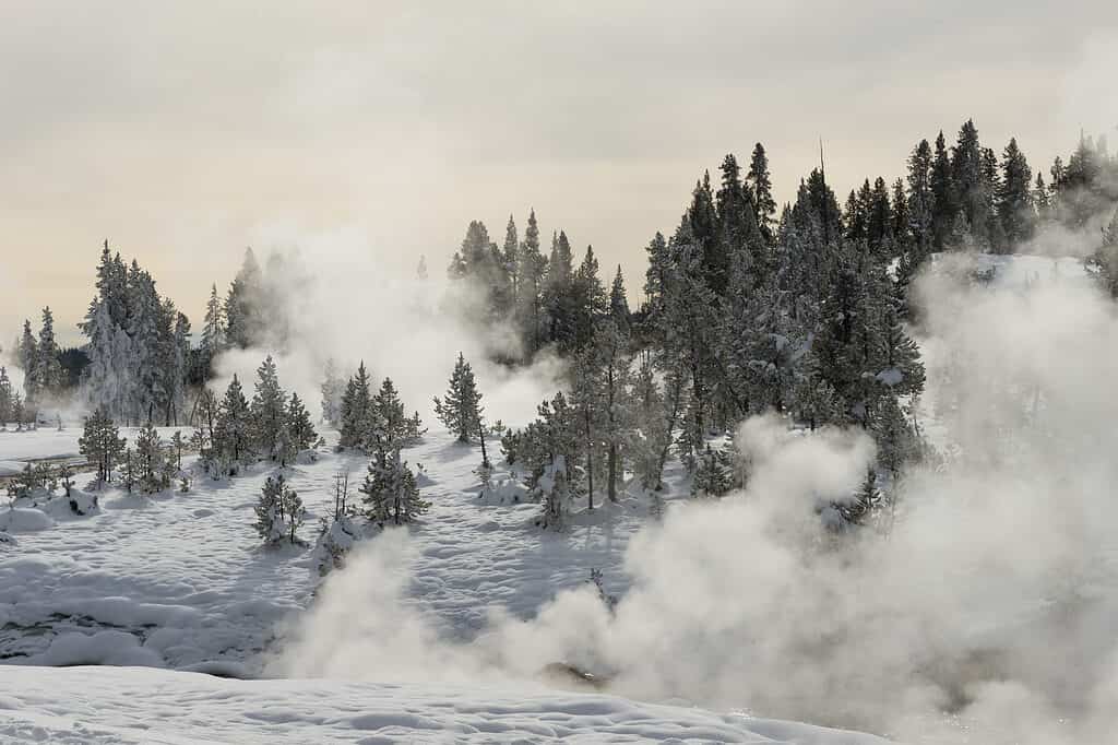 Parco Nazionale di Yellowstone