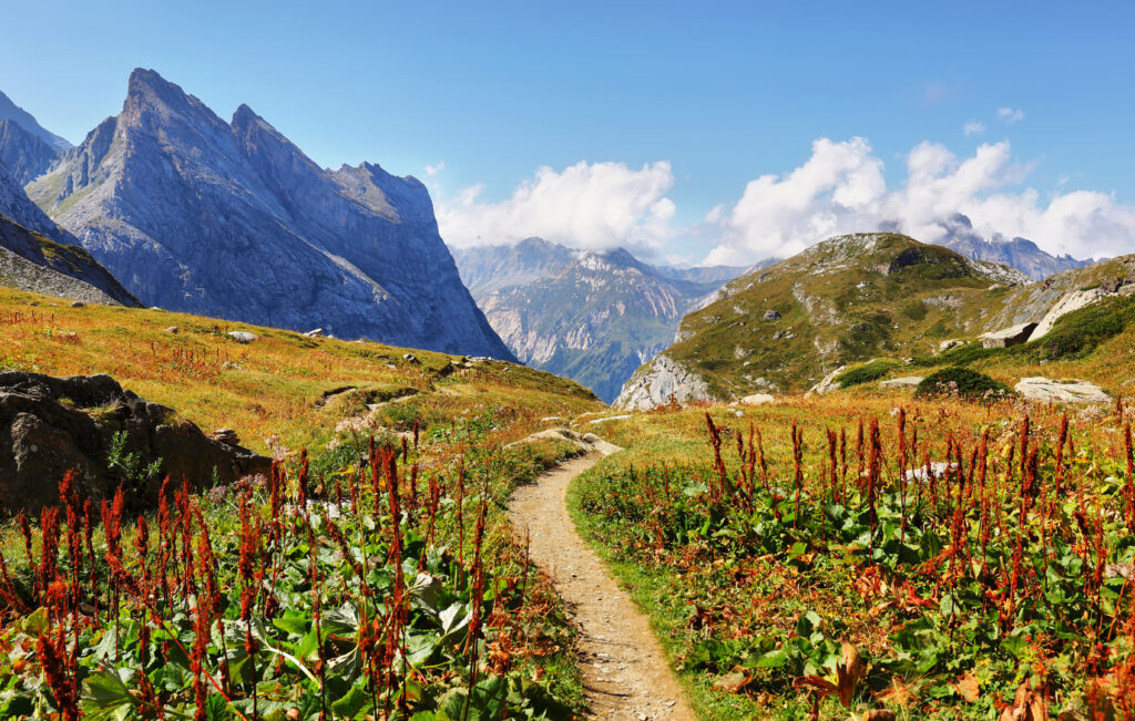 Parco nazionale della Vanoise delle alpi francesi, Francia