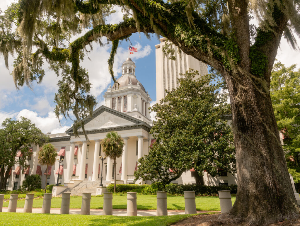 Cielo blu dietro nuvole bianche sopra il Campidoglio in Florida a Tallahassee