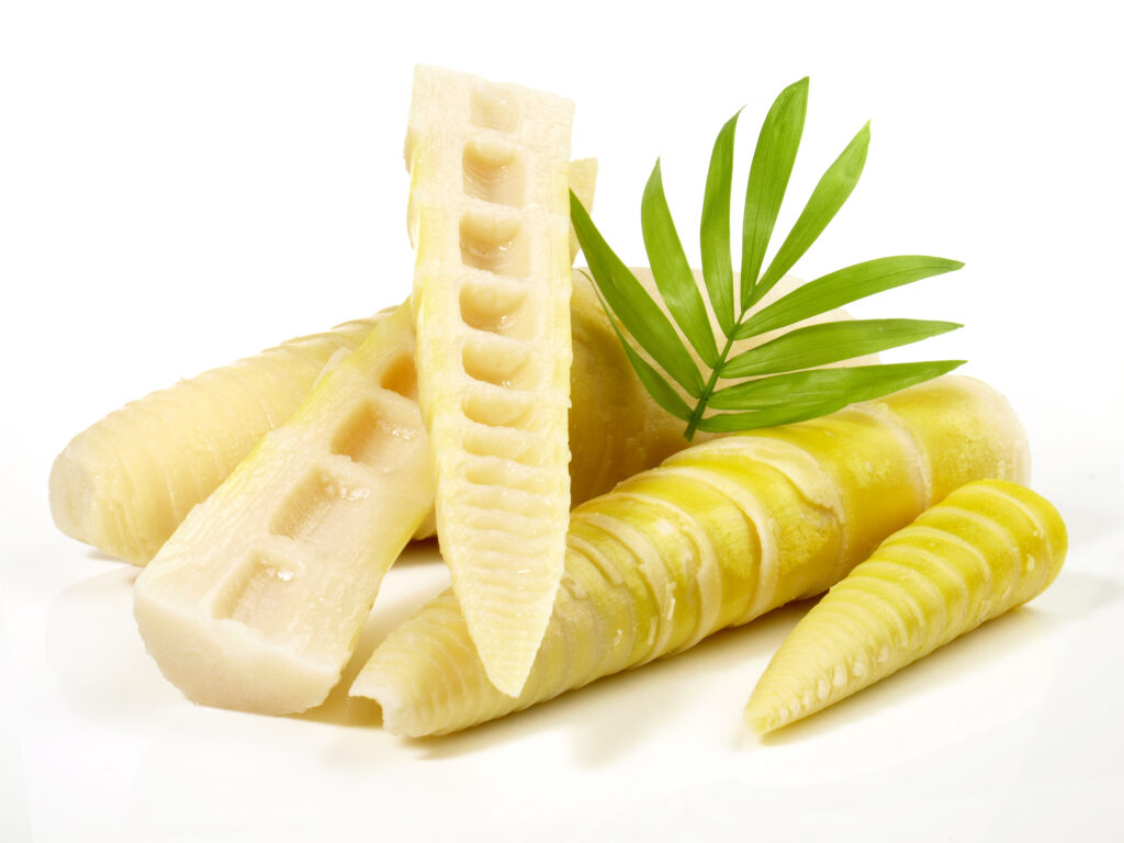 Germoglio di bambù