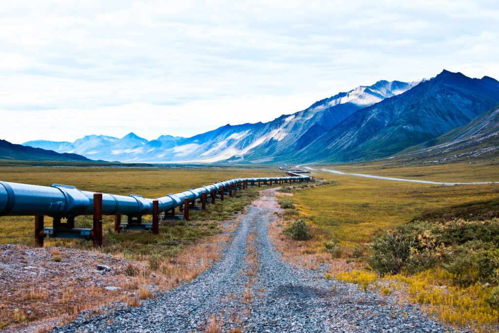 un'immagine dell'oleodotto transalaskano che trasporta il petrolio dalla parte settentrionale dell'Alaska fino a Valdez.  questo scatto è proprio vicino al rifugio nazionale artico della fauna selvatica