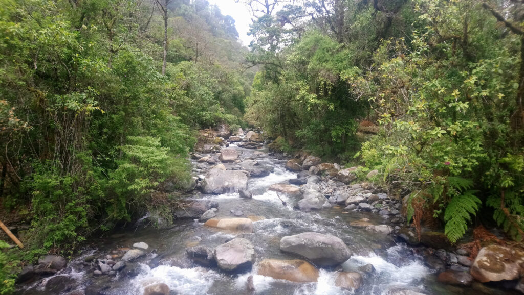 Parco Nazionale del Darién