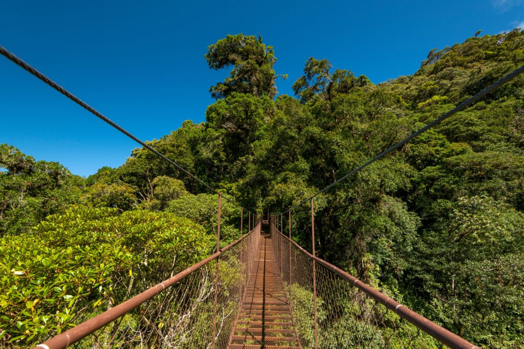 Il ponte più lungo delle Hawaii