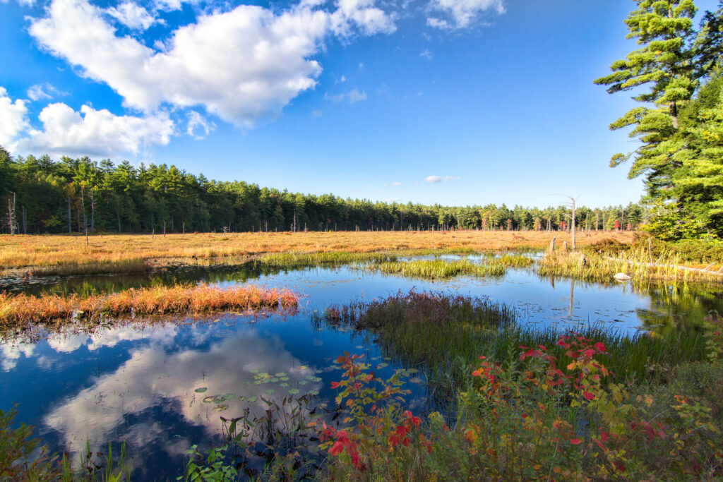 Pawtuckaway Pond con riflessi nuvolosi e colori autunnali
