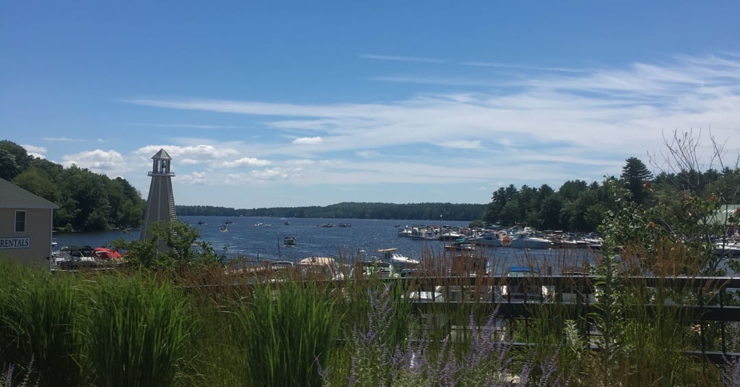 Vista panoramica di Brandy Pond dal ponte a The Causeway