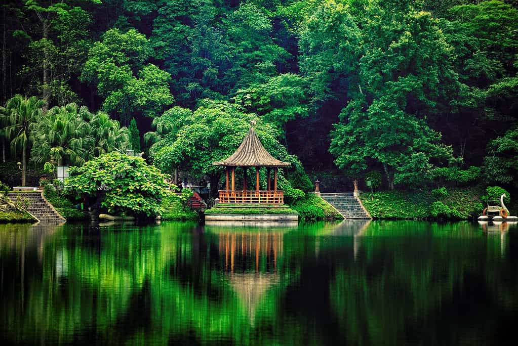 Parco Nazionale di Ba Vi, Vietnam