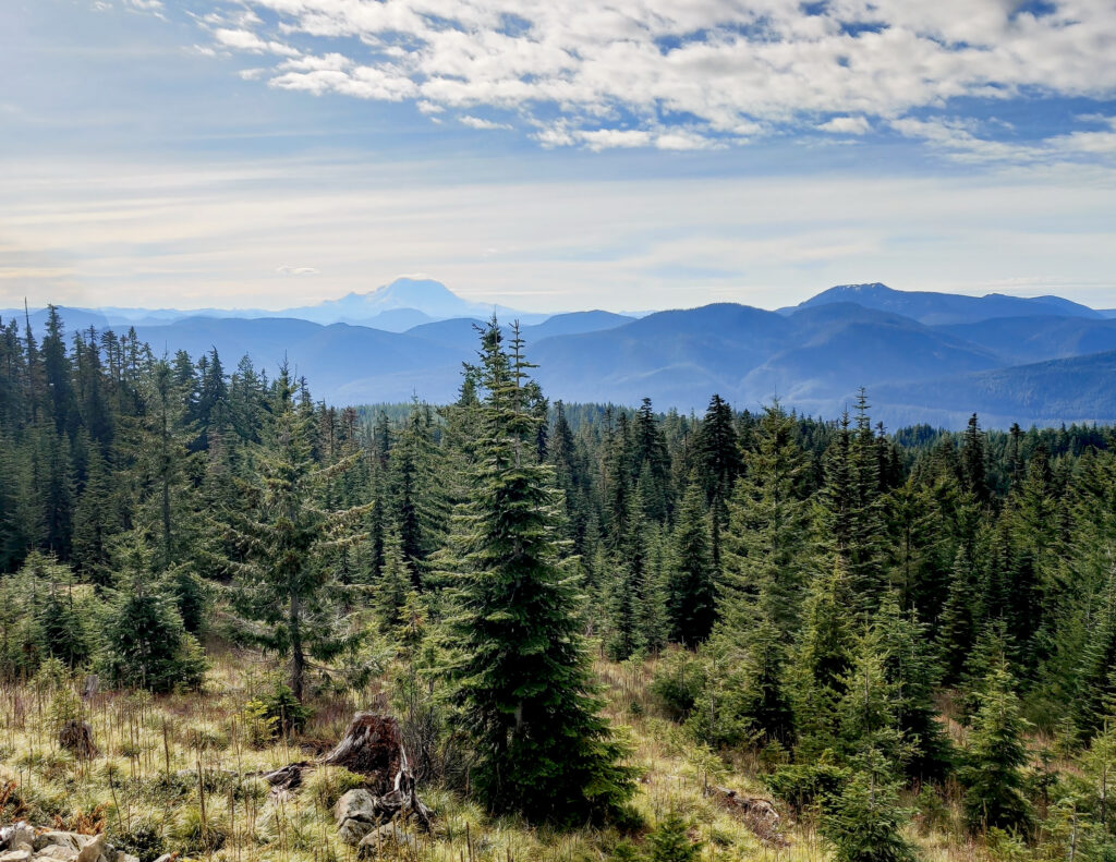 La foresta nazionale di Okanogan-Wenatchee è la più grande foresta di Washington