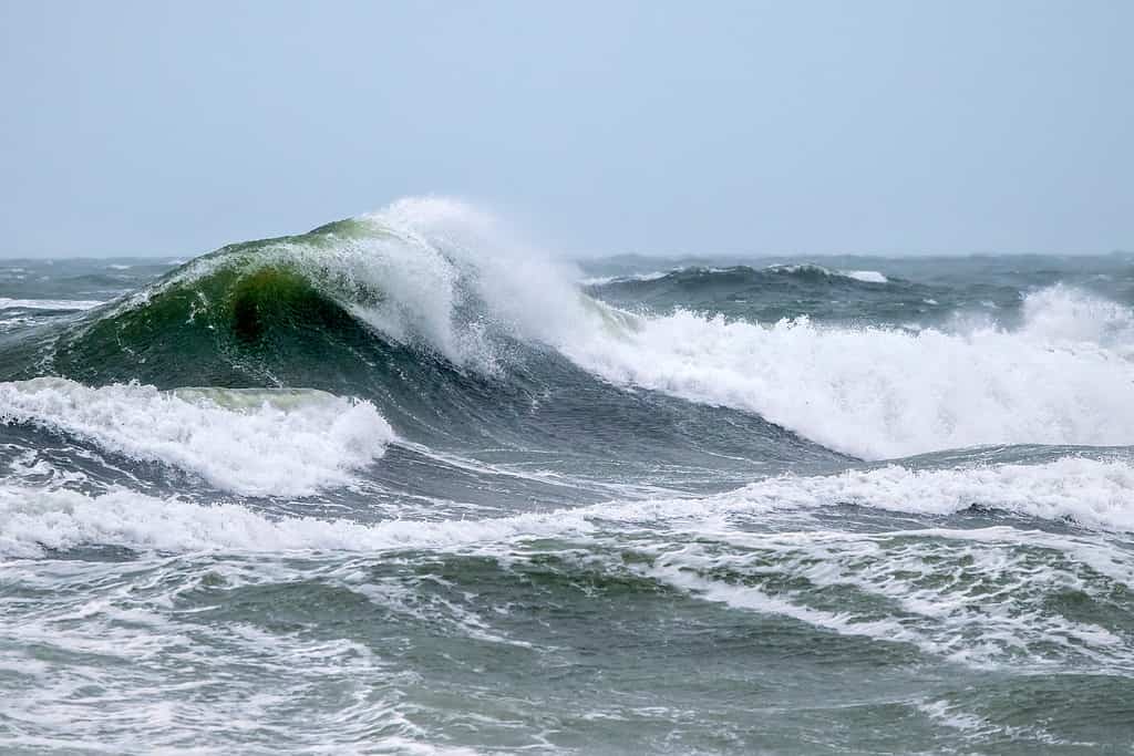 Un'onda che sta per rompersi durante un Nor'Easter di fine inverno.  Salisbury, Massachusetts.