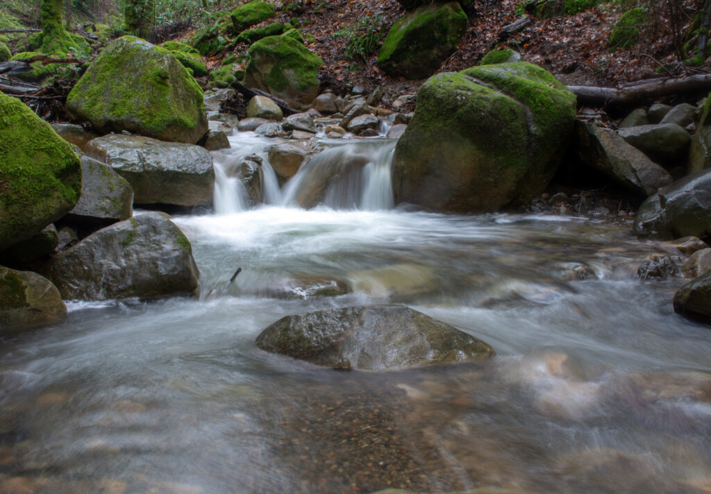 Swanson Creek nell'Uvas Canyon County Park in California