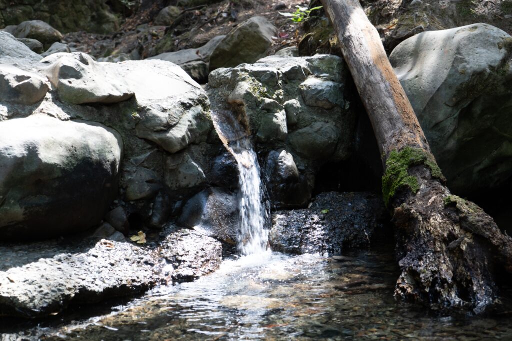 Parco della contea di Sanborn a Saratoga, in California