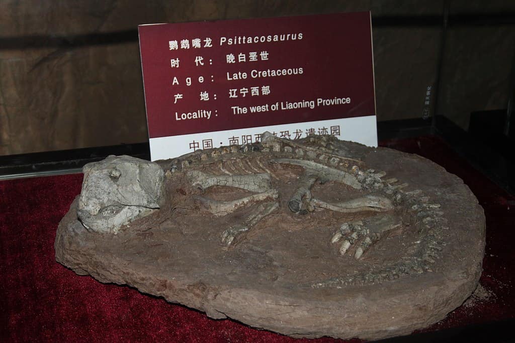 uovo di dinosauro