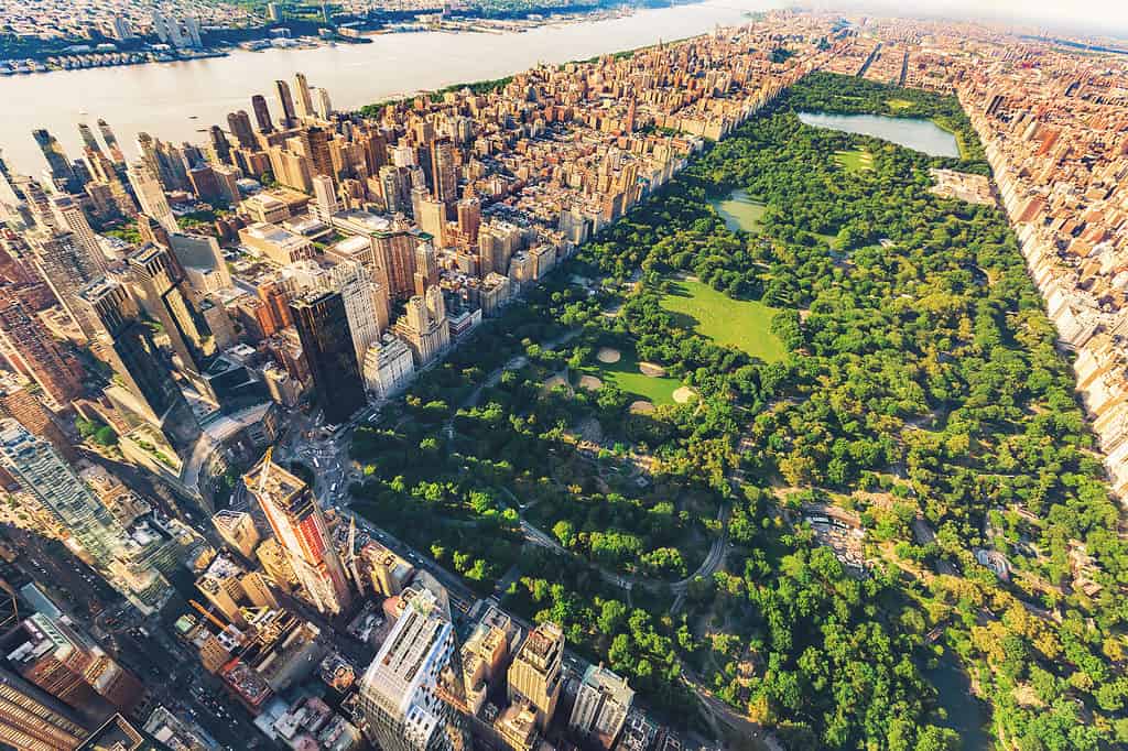 Vista aerea di Central Park, New York