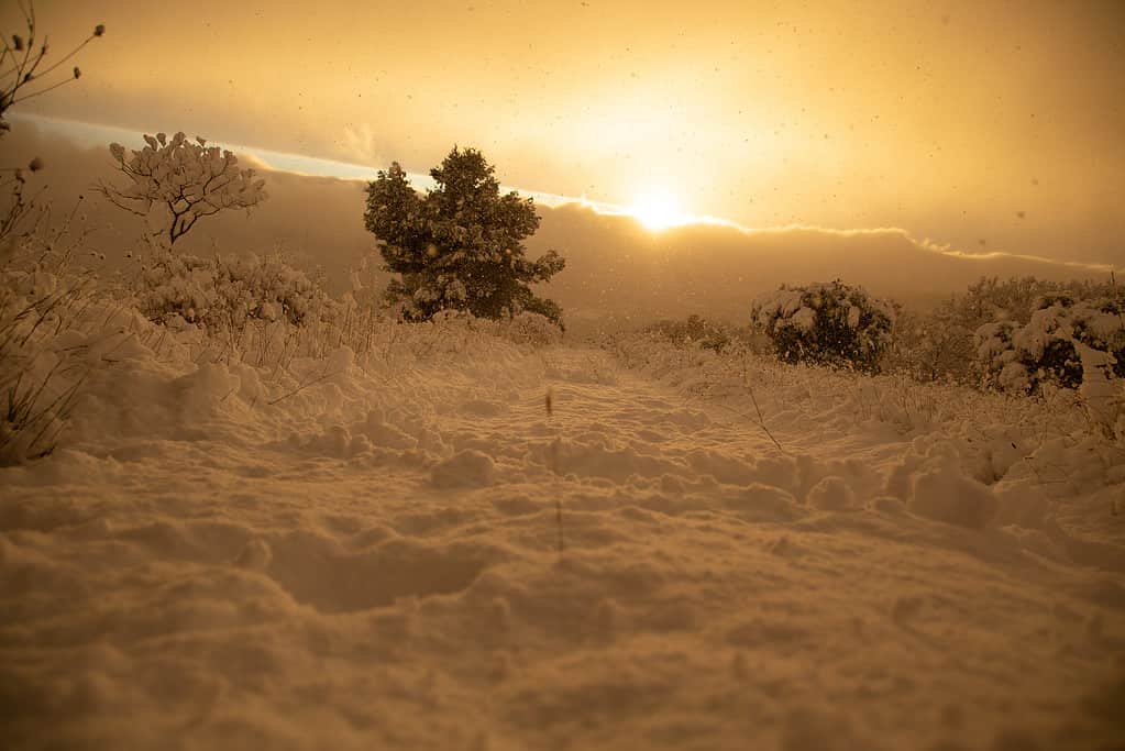 Tempesta di neve dell'Indiana