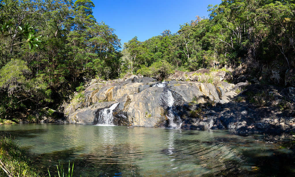 Parco nazionale di Conondale, Queensland Australia
