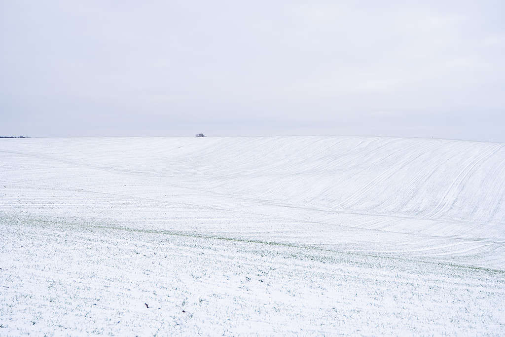 Campo innevato