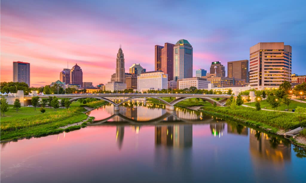 Serie Dog Park - Columbus Ohio