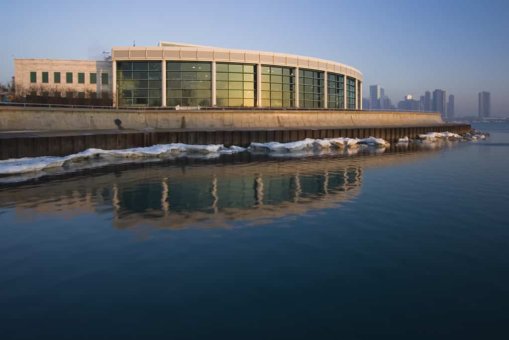 Acquario Shedd, Chicago, Illinois