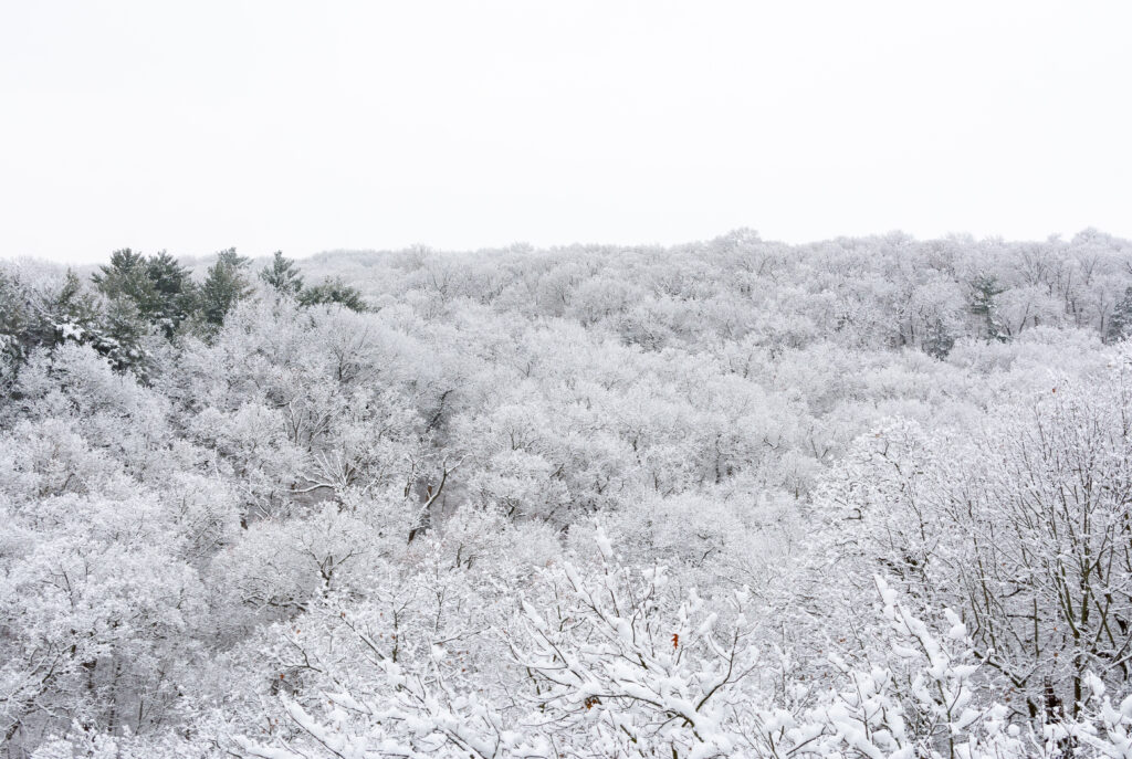 L'inverno in Illinois non è uno scherzo!