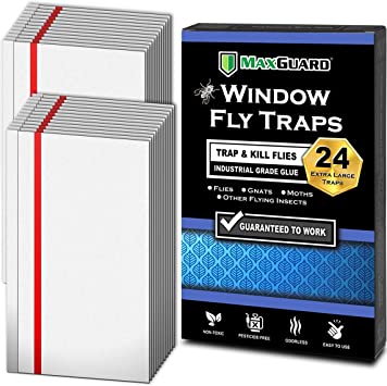 Trappole per mosche da finestra MaxGuard