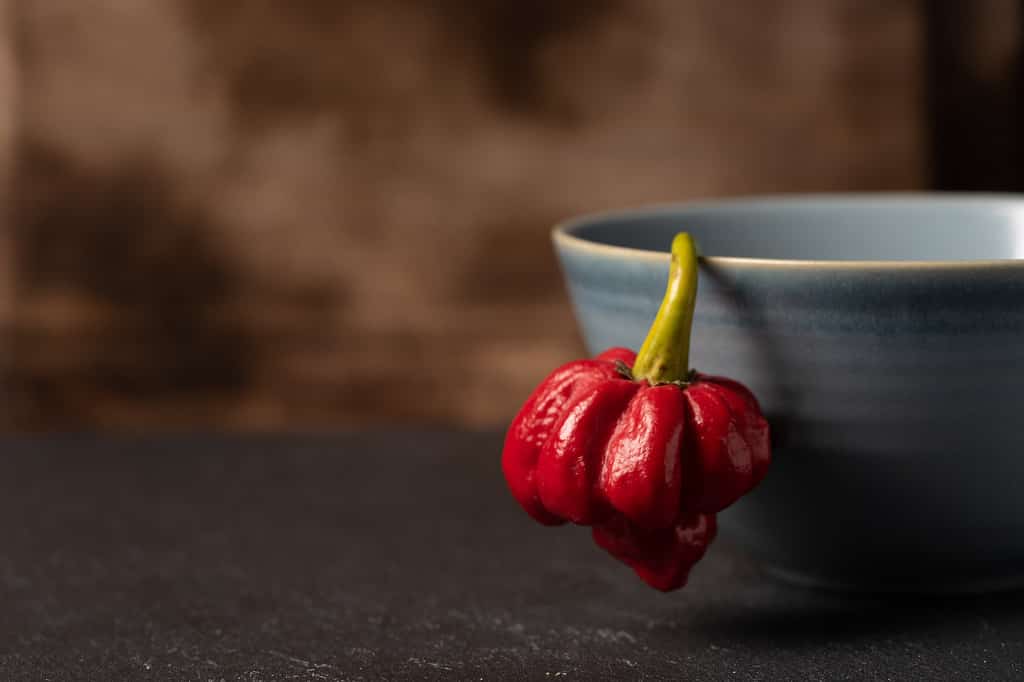 Trinidad Red Scorpion Pepper penzola sopra la ciotola