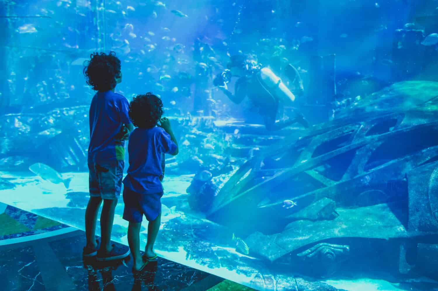 Sagome bambini nel grande acquario.  Doubai.