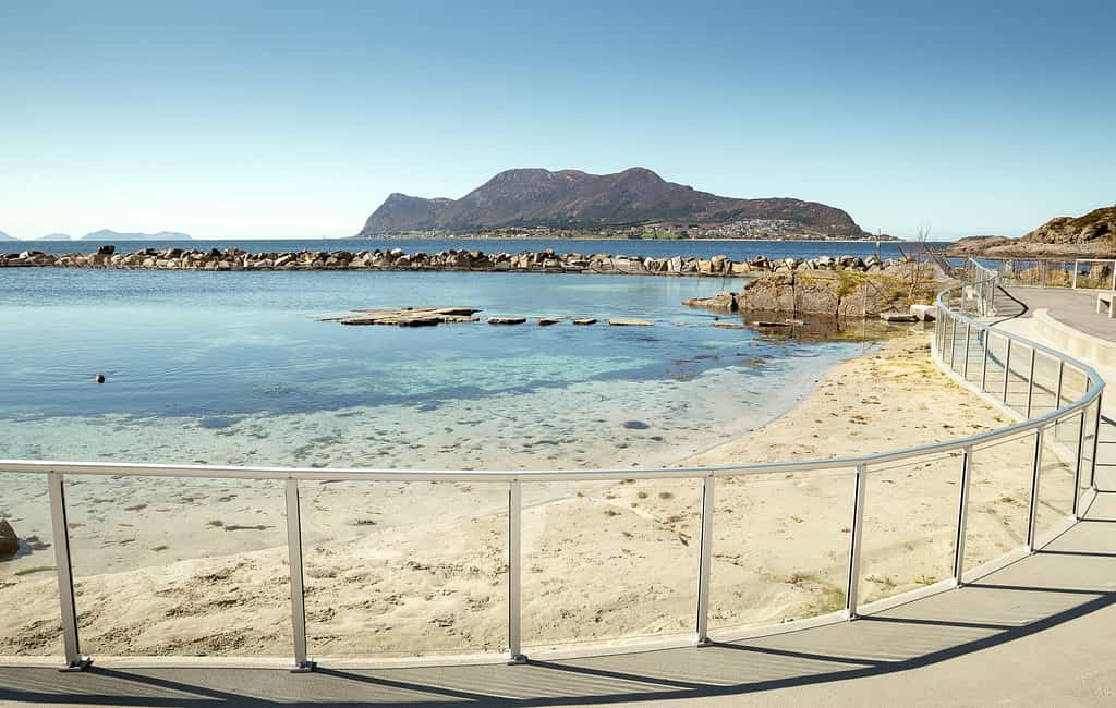 Atlantic Park Aalesund - L'acquario norvegese