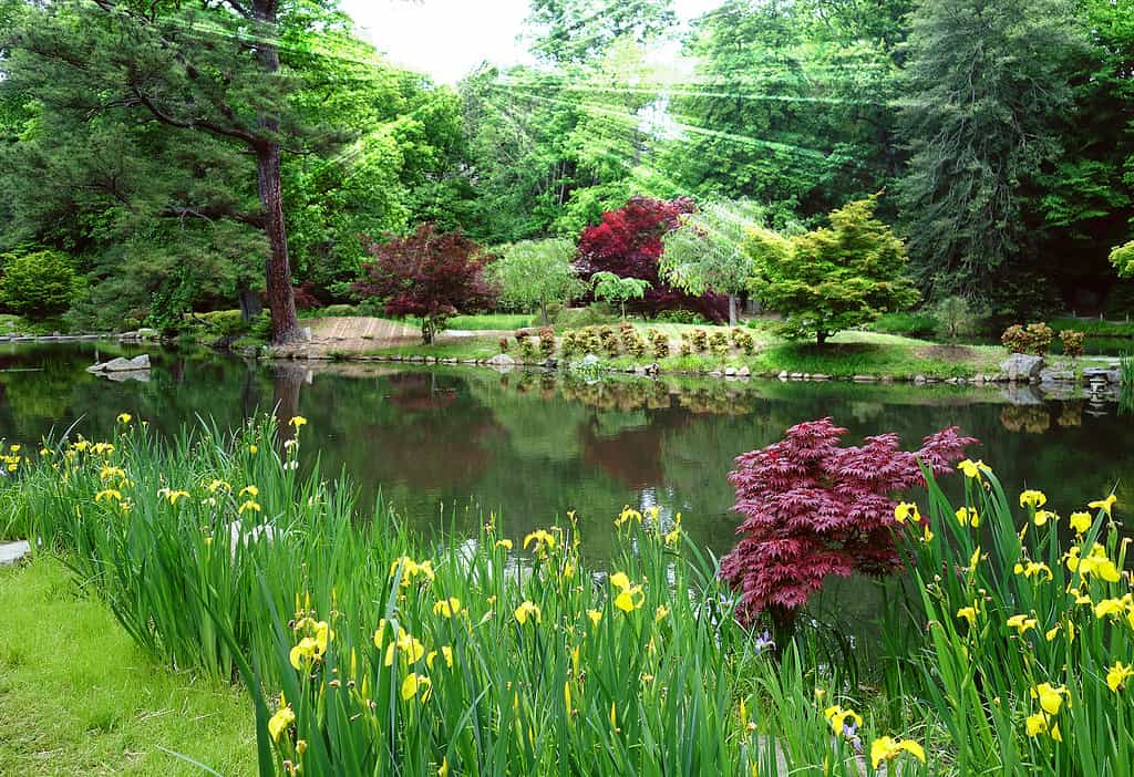 Giardini di Maymont, Richmond Virginia