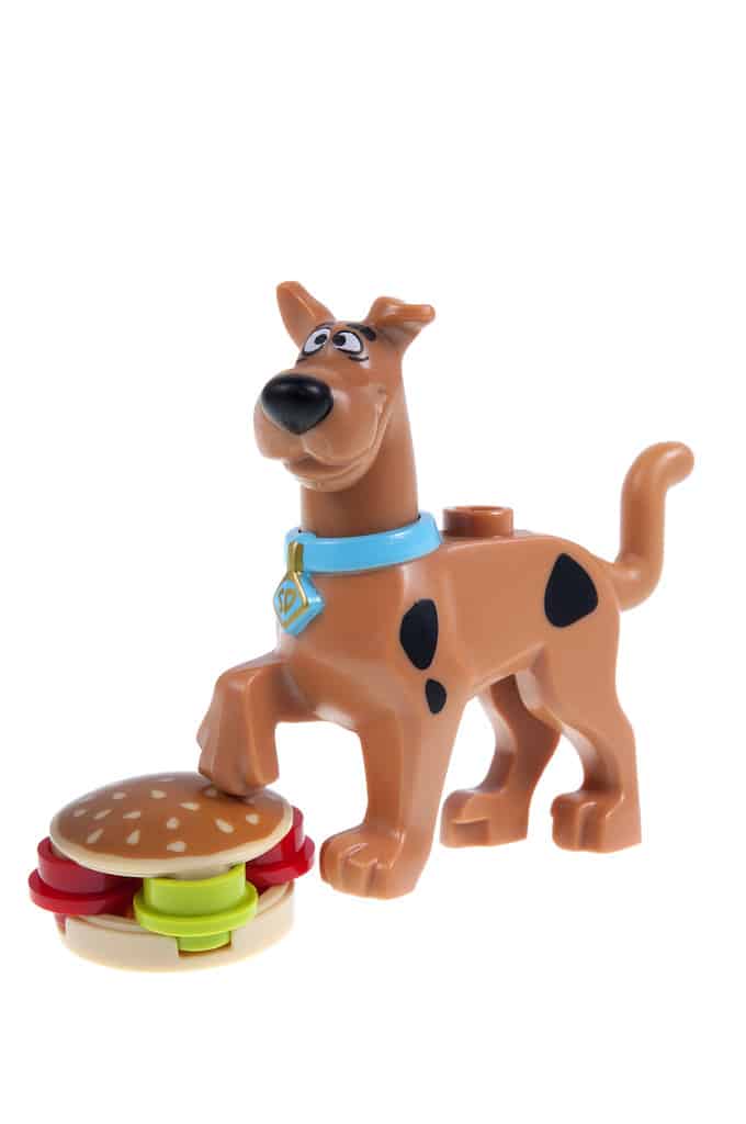 Adelaide, Australia - 28 settembre 2015: A Studio Shot di un Scooby Doo Lego Minifigure della serie animata Scooby Doo.  Questa figura fa parte di una serie di kit Lego rilasciati nel 2015, i lego sono molto apprezzati dai bambini e dai collezionisti di tutto il mondo.