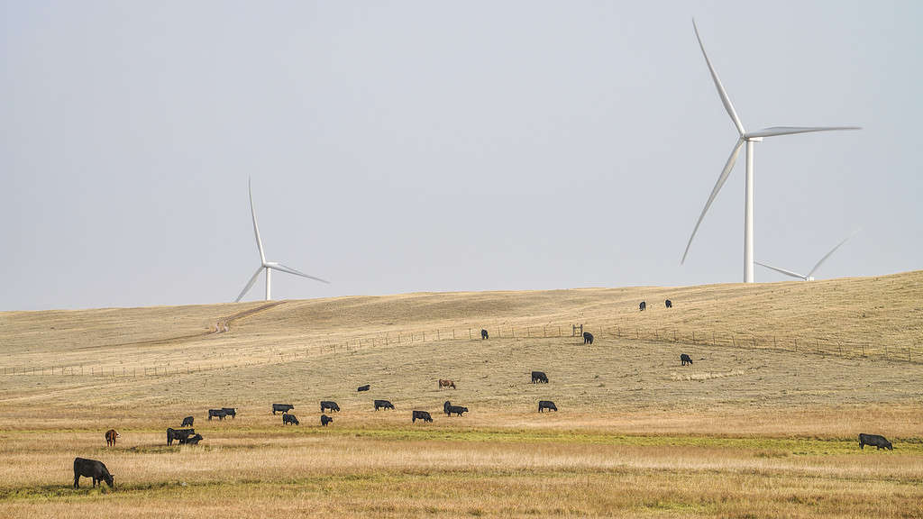 Parco eolico del Wyoming