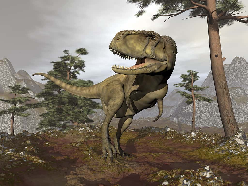Abelisauro dinosauro 