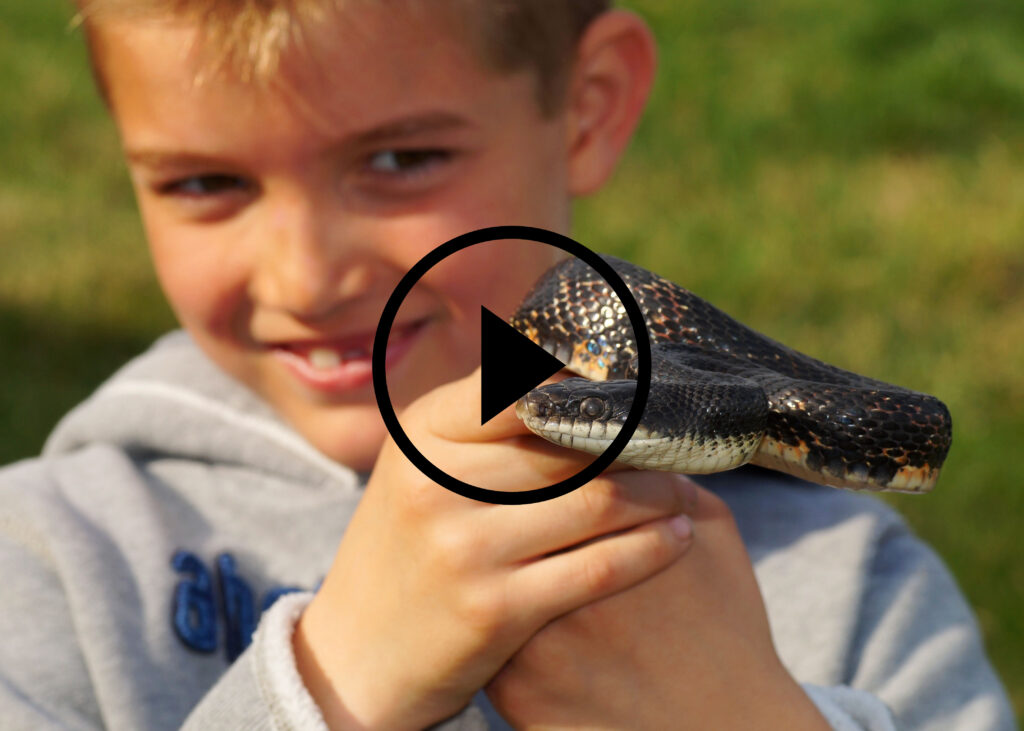 Bambino sorridente che tiene un serpente