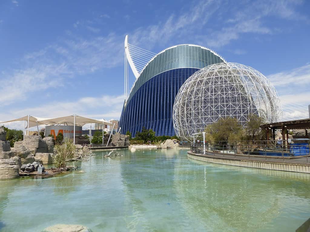 Vista panoramica dell'acquario L'Oceanografic a Valencia, in Spagna