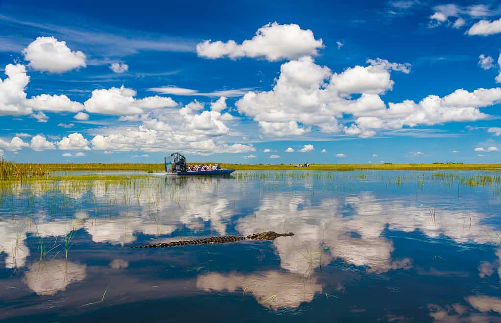 Parco nazionale delle Everglades Florida