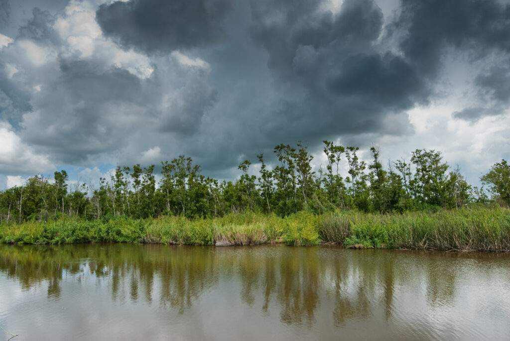 nuvole temporalesche che si avvicinano nelle paludi della louisiana, usa