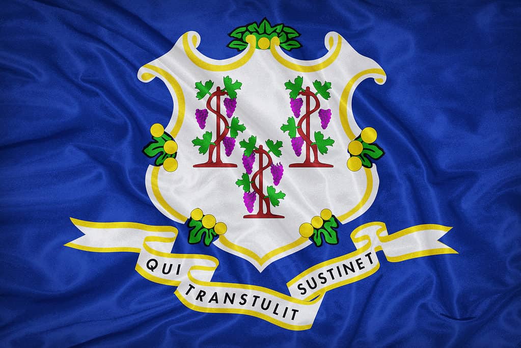 Bandiera del Connecticut