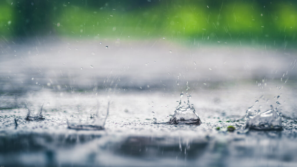 Gocce d'acqua sotto la pioggia