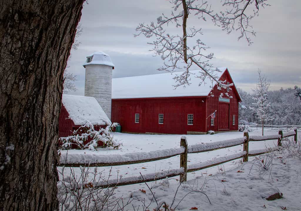 Granaio innevato nel New Hampshire