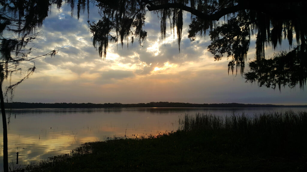 Il lago Tarpon offre alcune delle migliori attività di pesca alla spigola nella Florida occidentale.