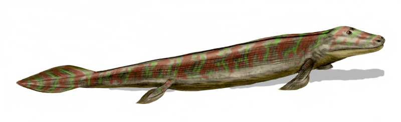Tiktalik